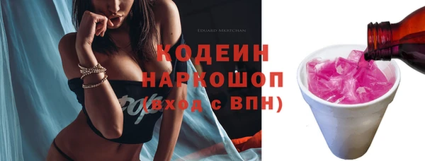 индика Балахна