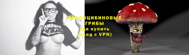 спайс Аркадак
