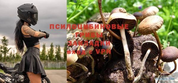 спайс Арсеньев