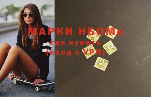 индика Балахна