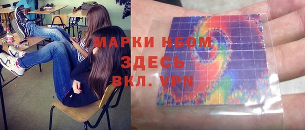 индика Балахна