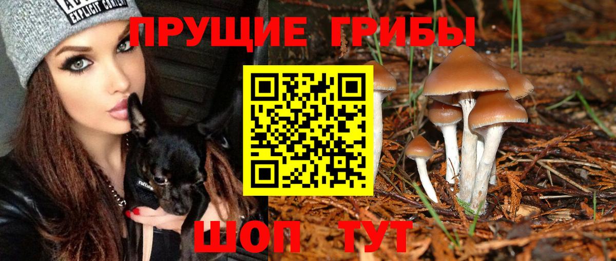 Кемерово  Галлюциногенные грибы мухоморы  Вход с VPN 